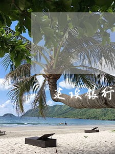 建设银行贷款还款逾期一天 建设银行贷款还款逾期一天