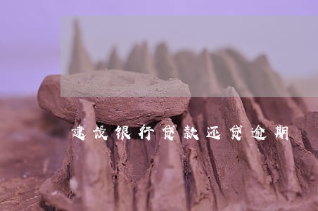 建设银行贷款还贷逾期 建设银行贷款还贷逾期