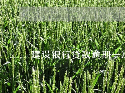 建设银行贷款逾期一次 建设银行贷款逾期一次