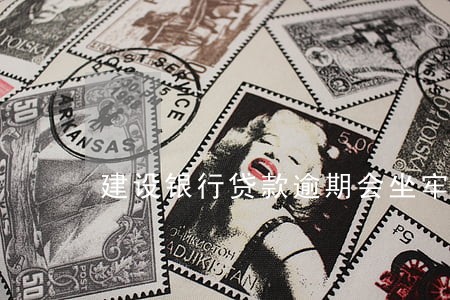 建设银行贷款逾期会坐牢吗 建设银行贷款逾期会坐牢吗