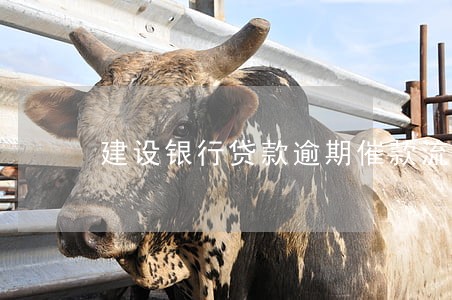 建设银行贷款逾期催款流程 建设银行贷款逾期催款流程