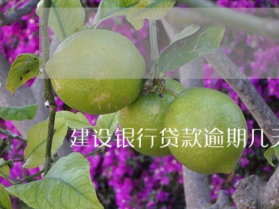 建设银行贷款逾期几天上征信 建设银行贷款逾期几天上征信