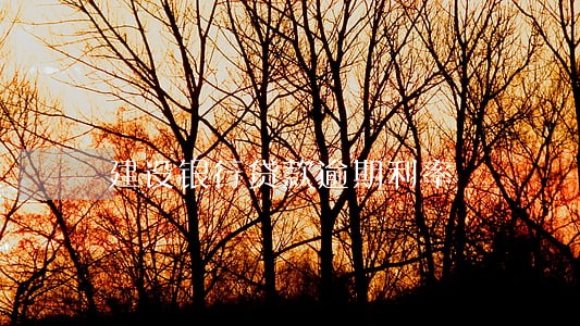 建设银行贷款逾期利率 建设银行贷款逾期利率