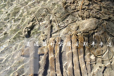 建设银行贷款逾期半年这么办 建设银行贷款逾期半年这么办