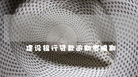 建设银行贷款逾期宽限期 建设银行贷款逾期宽限期