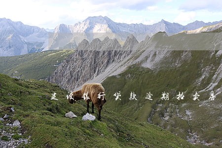 建设银行贷款逾期拍卖房产证 建设银行贷款逾期拍卖房产证