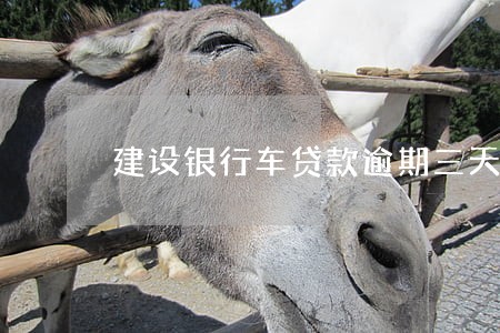 建设银行车贷款逾期三天 建设银行车贷款逾期三天