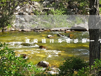 建设银行车贷逾期一个天了怎么办 建设银行车贷逾期一个天了怎么办