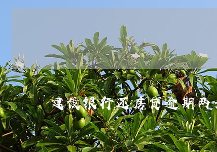 建设银行还房贷逾期两天