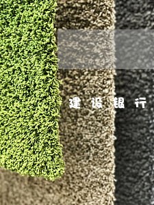 建设银行逾期10天逾期费多少 建设银行逾期10天逾期费多少