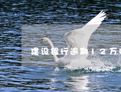 建设银行逾期12万收到传票 建设银行逾期12万收到传票