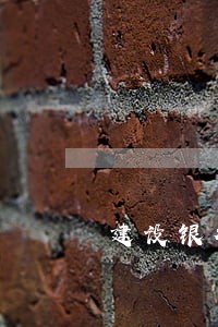 建设银行逾期14天