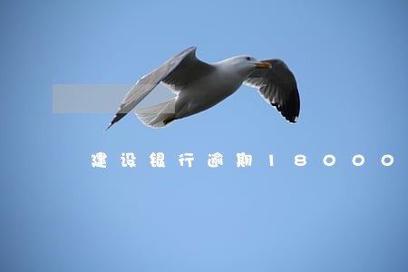 建设银行逾期18000 建设银行逾期18000