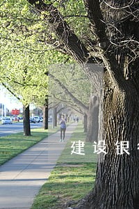 建设银行逾期1个账单 建设银行逾期1个账单