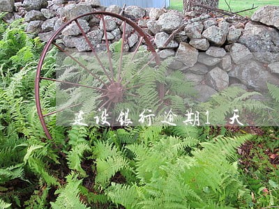 建设银行逾期1天 建设银行逾期1天