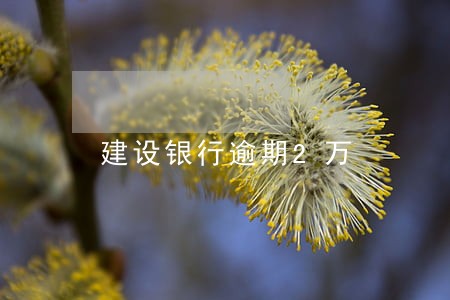 建设银行逾期2万 建设银行逾期2万