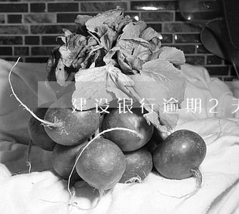 建设银行逾期2天 建设银行逾期2天