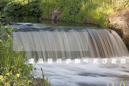 建设银行逾期5天还款后果 建设银行逾期5天还款后果
