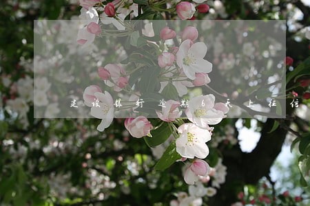 建设银行逾期6天上征信吗