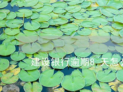 建设银行逾期8天怎么收费 建设银行逾期8天怎么收费