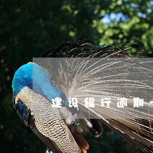 建设银行逾期一天不还 建设银行逾期一天不还