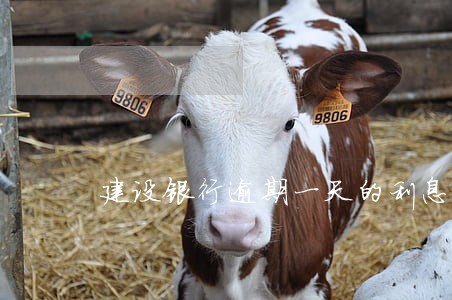 建设银行逾期一天的利息 建设银行逾期一天的利息