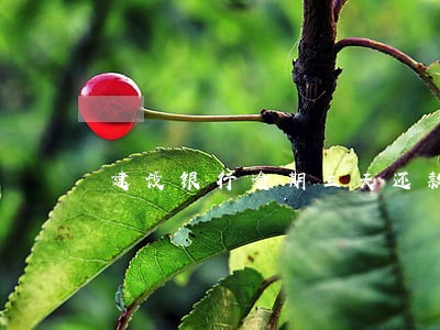 建设银行逾期三天还款 建设银行逾期三天还款