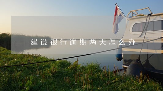 建设银行逾期两天怎么办 建设银行逾期两天怎么办