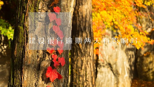 建设银行逾期两天有影响吗 建设银行逾期两天有影响吗