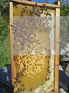 建设银行逾期了会怎样 建设银行逾期了会怎样