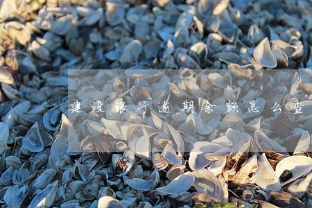 建设银行逾期余额怎么查询 建设银行逾期余额怎么查询