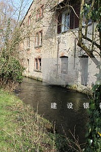 建设银行逾期停用让全部还了 建设银行逾期停用让全部还了