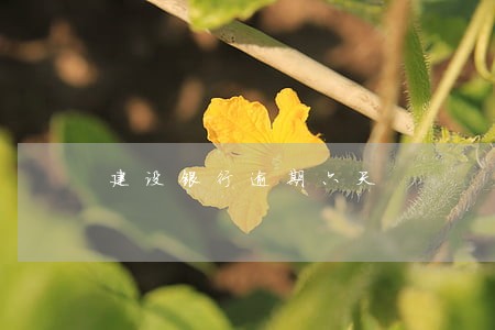 建设银行逾期六天 建设银行逾期六天