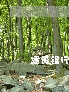 建设银行逾期半个月 建设银行逾期半个月