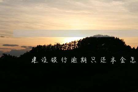 建设银行逾期只还本金怎么协商 建设银行逾期只还本金怎么协商