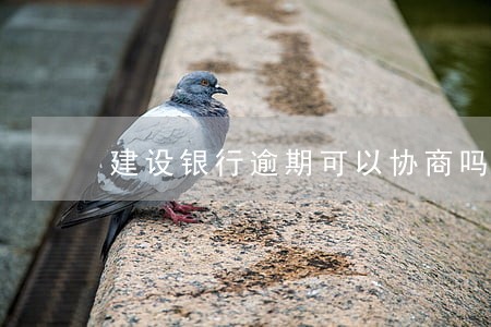 建设银行逾期可以协商吗 建设银行逾期可以协商吗