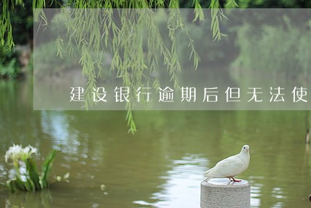 建设银行逾期后但无法使用