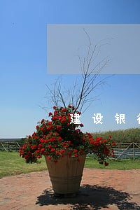 建设银行逾期后还款还能使用吗 建设银行逾期后还款还能使用吗