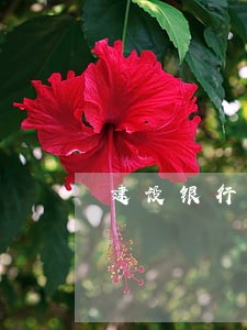 建设银行逾期好久 建设银行逾期好久