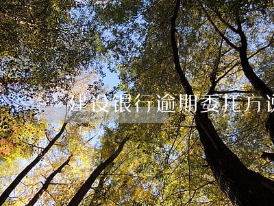 建设银行逾期委托方说上门
