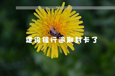 建设银行逾期封卡了 建设银行逾期封卡了