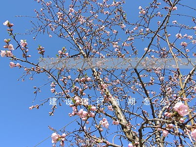 建设银行逾期怎么办 建设银行逾期怎么办
