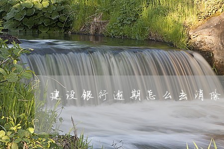 建设银行逾期怎么去消除 建设银行逾期怎么去消除