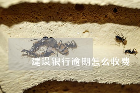 建设银行逾期怎么收费 建设银行逾期怎么收费