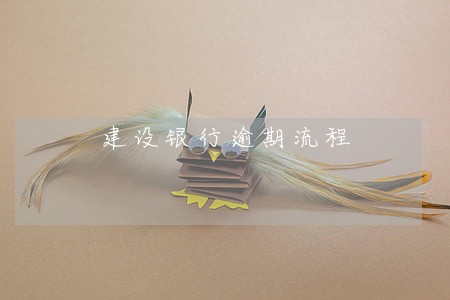 建设银行逾期流程 建设银行逾期流程
