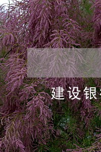 建设银行逾期疫情 建设银行逾期疫情