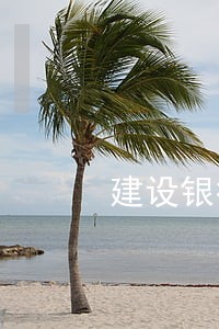 建设银行逾期能协商减免吗 建设银行逾期能协商减免吗