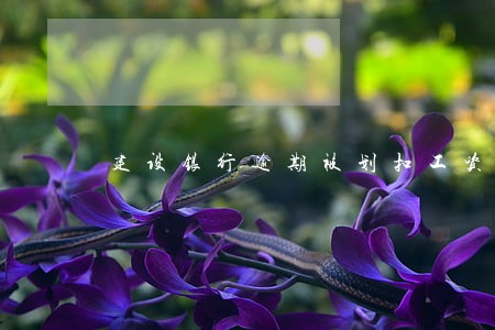 建设银行逾期被划扣工资 建设银行逾期被划扣工资