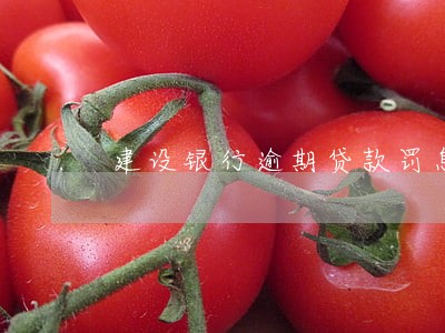 建设银行逾期贷款罚息减免 建设银行逾期贷款罚息减免