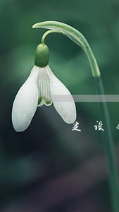 建设银行逾期费怎么算 建设银行逾期费怎么算